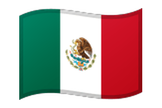 Mexico flag