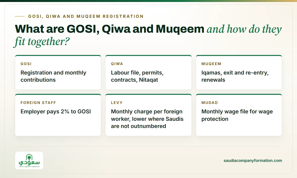 Infographic: GOSI, Qiwa and Muqeem explained for Saudi employers